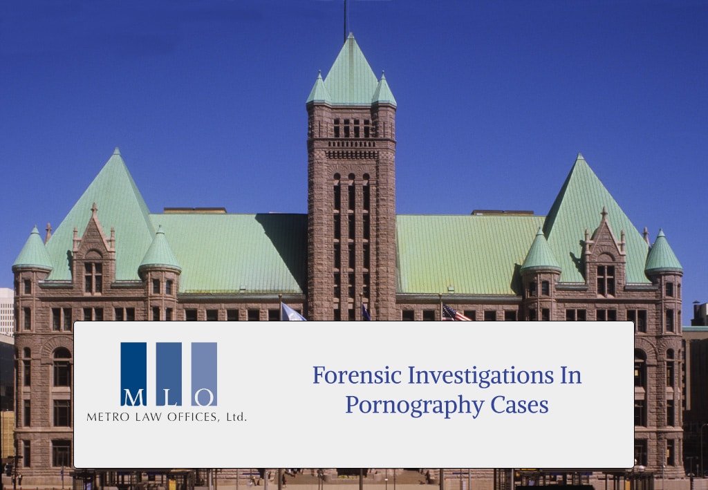 Forensic Investigations in Pornography Cases